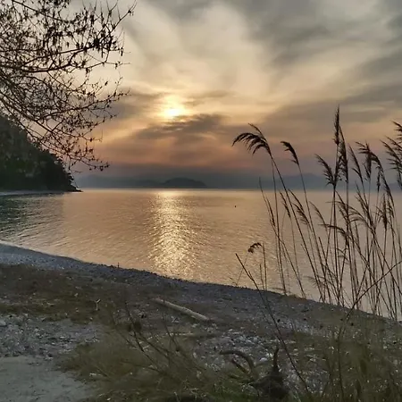Maria Rosa - - Koutsoubri Evia *